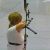 2010 - LM Halle